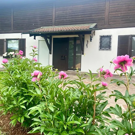 Schwanennest Am Chiemsee 아파트